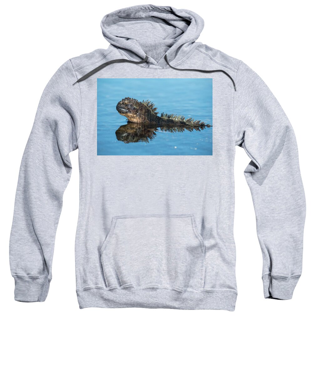 Animals Sweatshirt featuring the photograph Marine Iguana In The Shallows by Tui De Roy