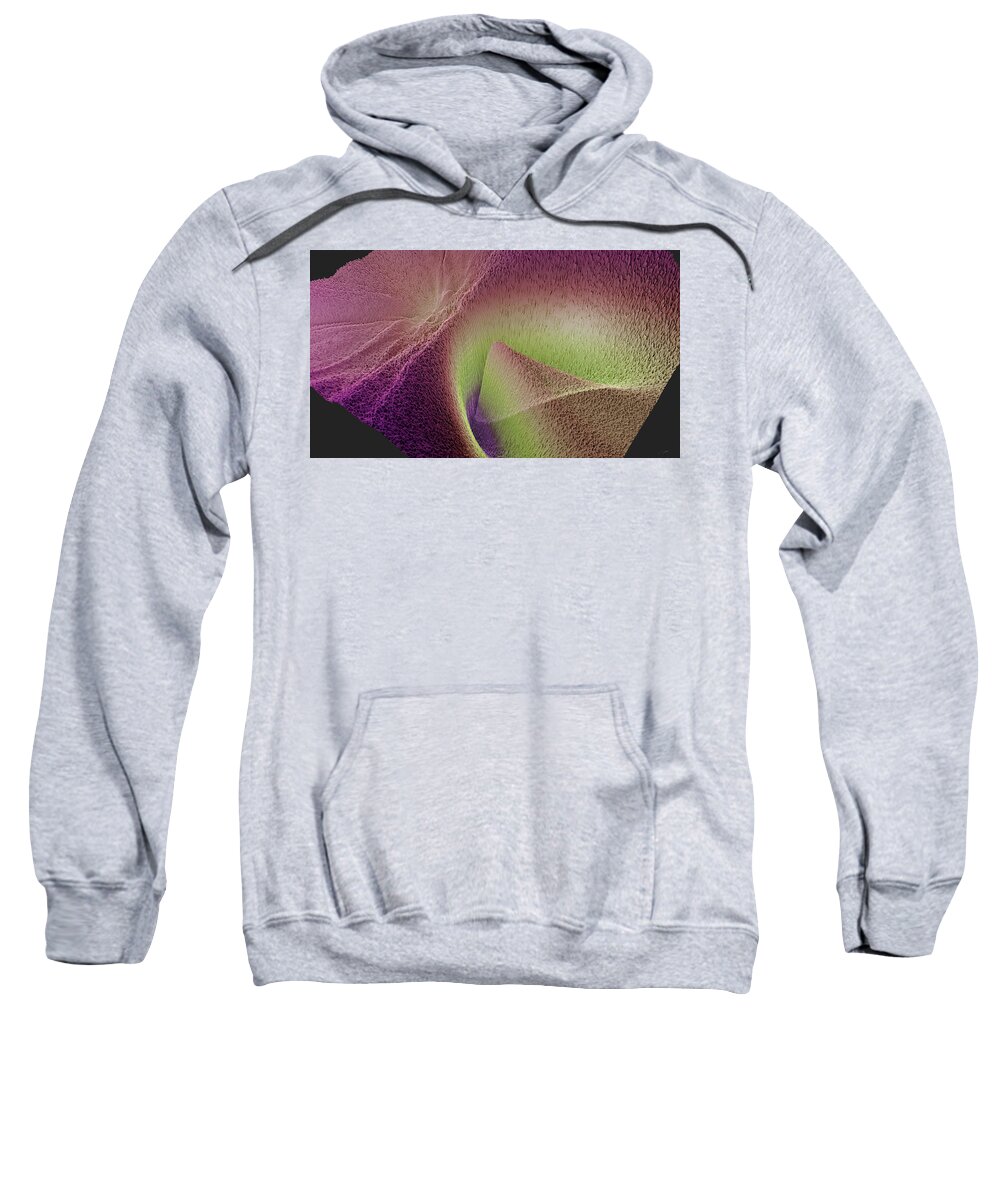 Artificial Intelligence Sweatshirt featuring the digital art Mode Connectivity by Javier Ideami