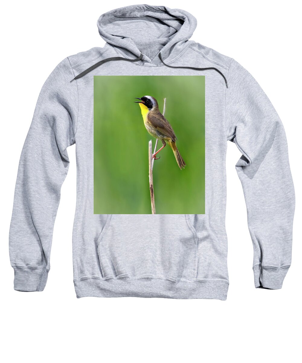Bird Sweatshirt featuring the photograph Morning Song by Art Cole