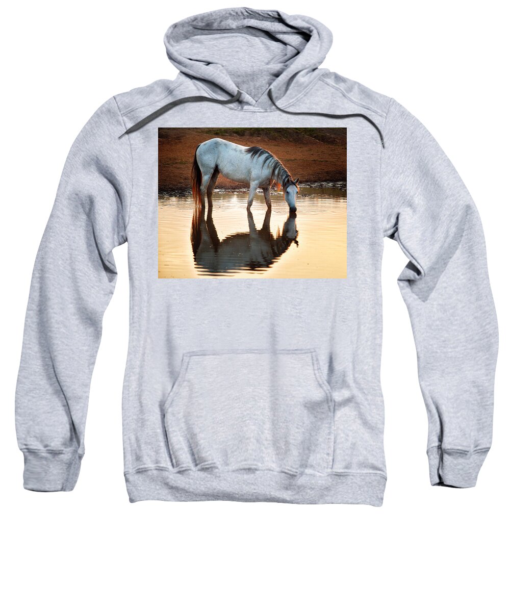 Eguine Sweatshirt featuring the photograph Mustang Morning by Ron McGinnis