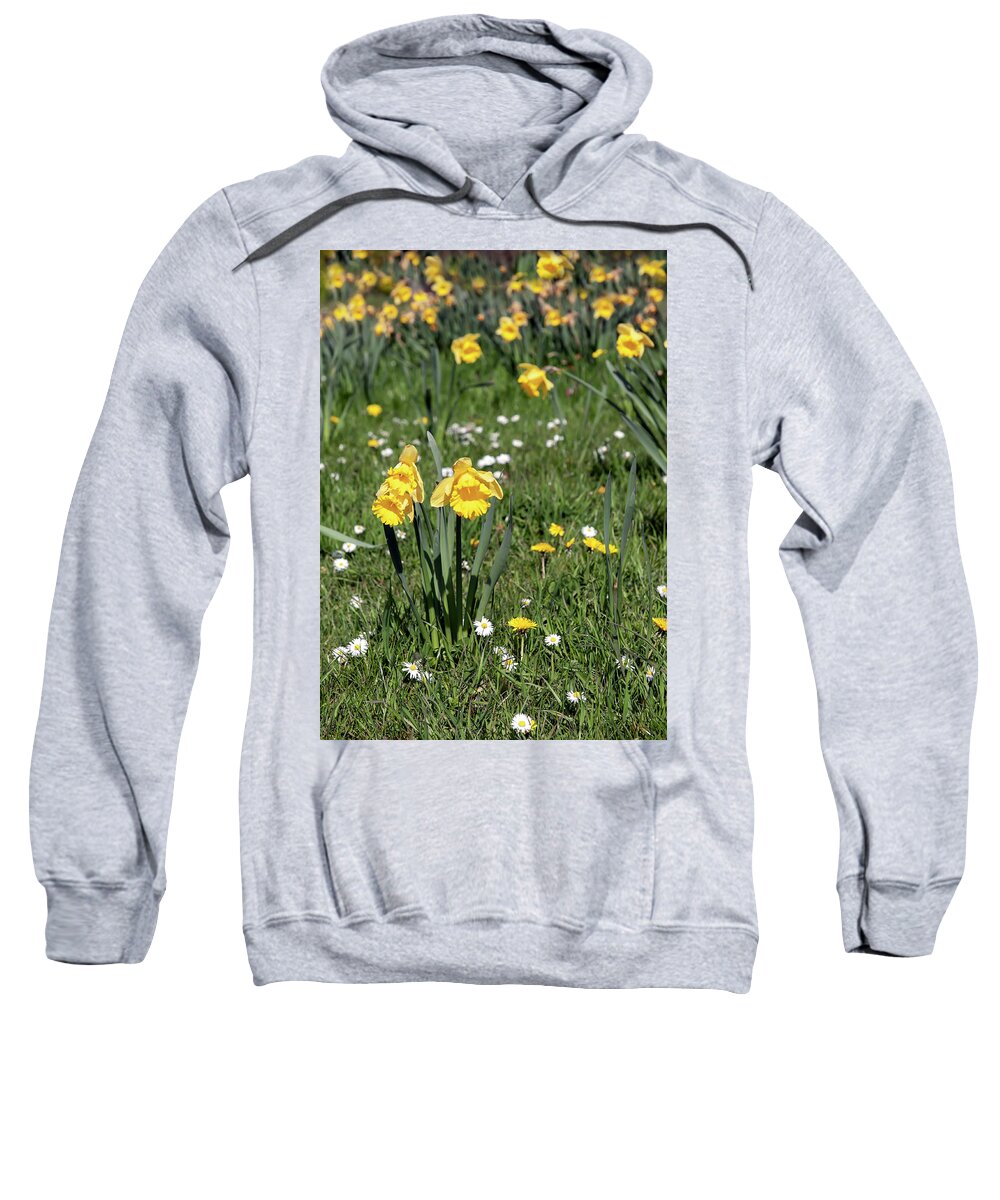 Yorkshire Sweatshirt featuring the photograph Narcissus by Gouzel -