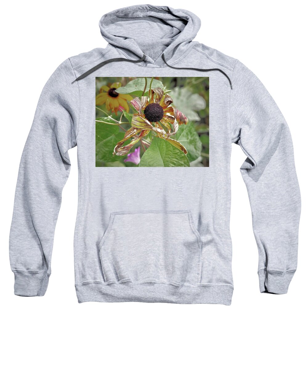 Autumn Sweatshirt featuring the photograph October's Sunflower by Alida M Haslett