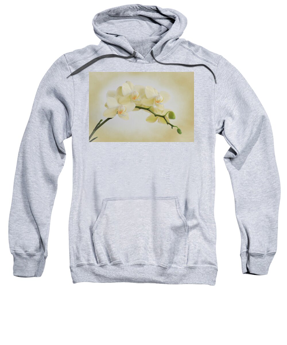 Flower Sweatshirt featuring the photograph Yellow Cream Orchid Spray by Patti Deters