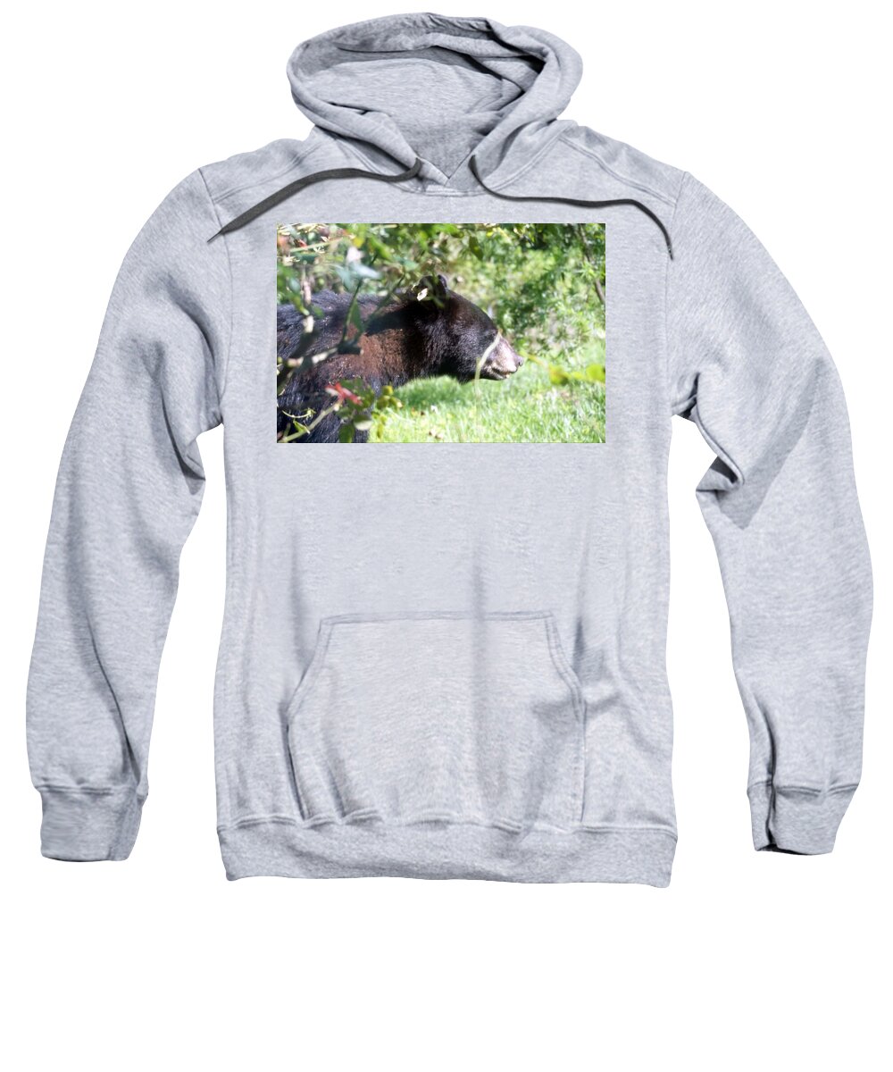 Florida Sweatshirt featuring the photograph Peek A Boo Bear by Lindsey Floyd