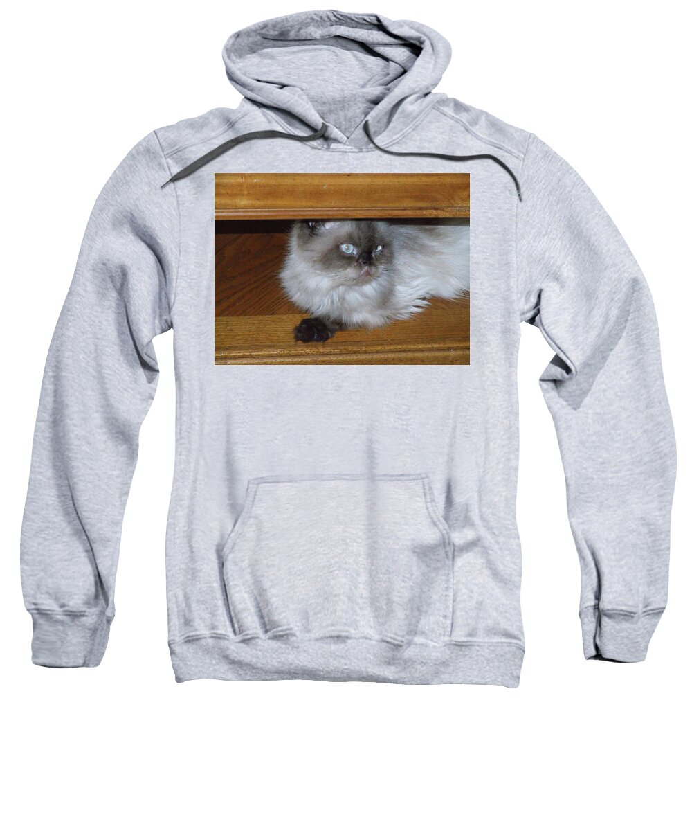 Kitty Sweatshirt featuring the photograph Peek a boo by Chuck Shafer