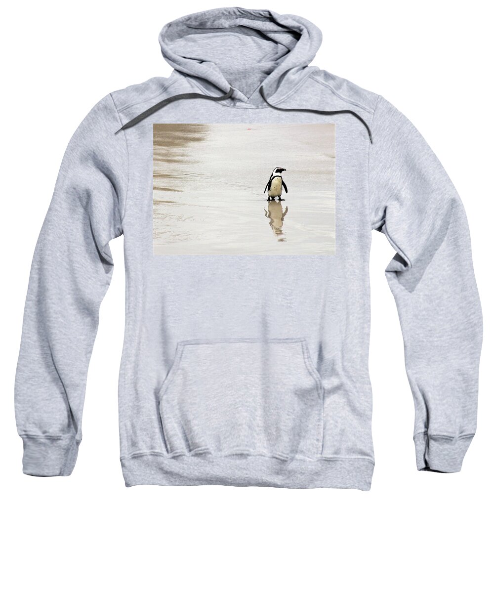Penguin Sweatshirt featuring the photograph Penguin Reflection by FD Graham