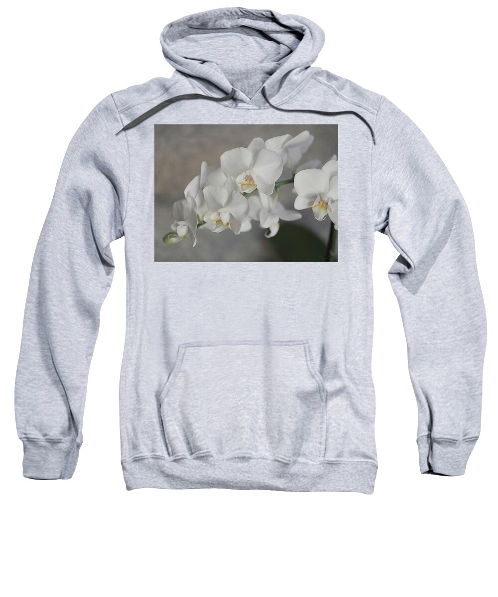 Orchid Sweatshirt featuring the photograph Phalaenopsis Orchid 4647 by Teresa Wilson