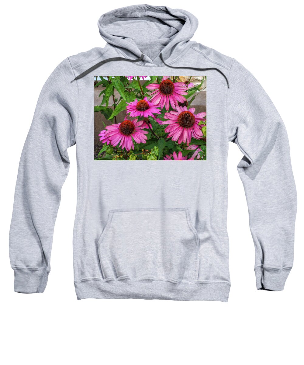 Pink Sweatshirt featuring the photograph Pink Cone Flowers by James C Richardson