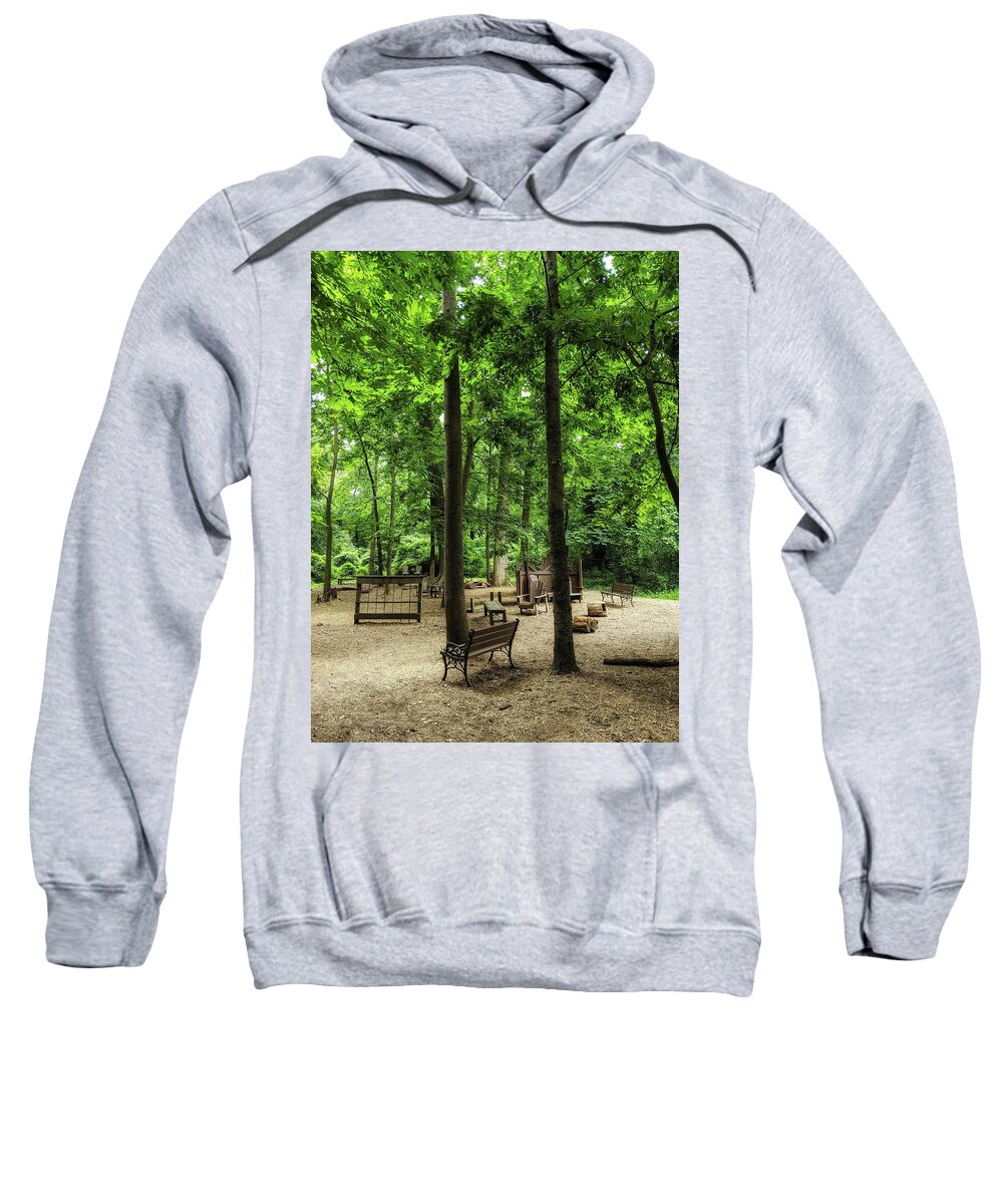 Tree Sweatshirt featuring the photograph Play in the Shade by Portia Olaughlin