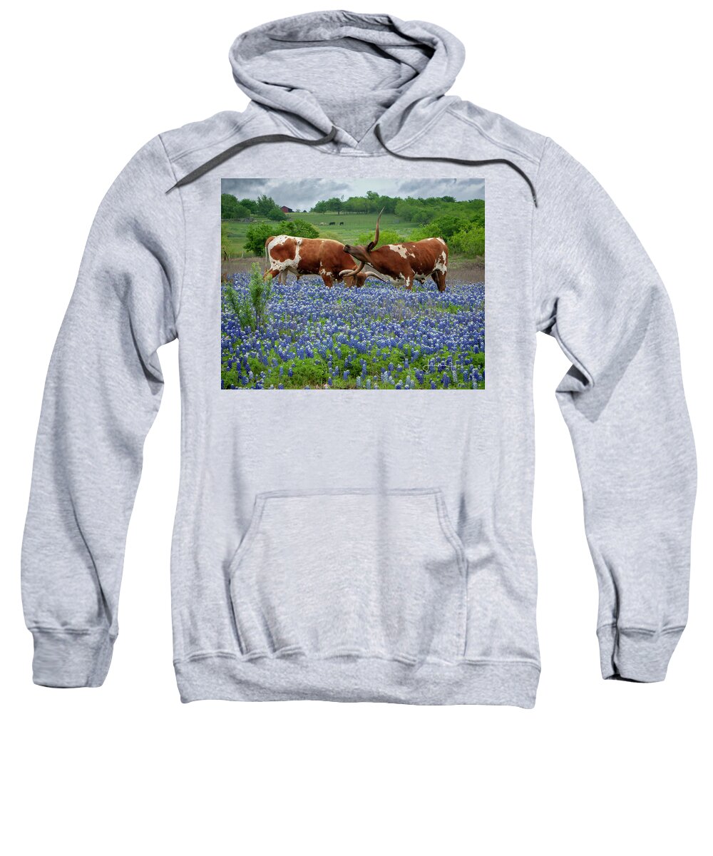 Longhorn Sweatshirt featuring the photograph Playing in the Bluebonnets by Linda Lee Hall