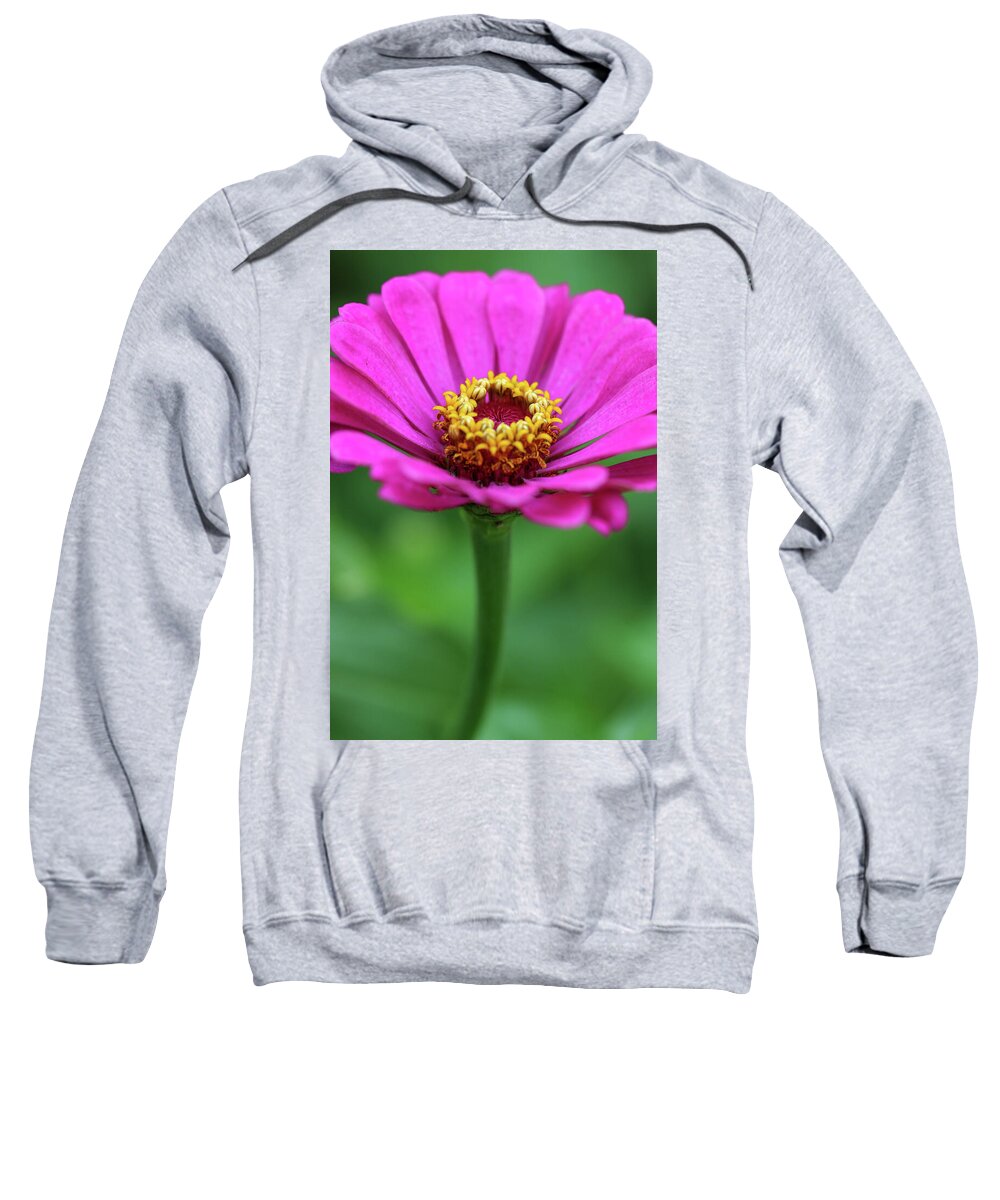 Flower Sweatshirt featuring the photograph Purple Zinnia by Mary Anne Delgado