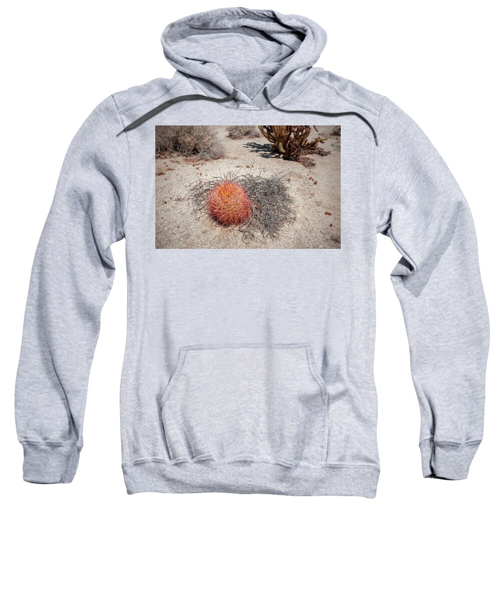 Anza-borrego Desert State Park Sweatshirt featuring the photograph Red Barrel Cactus and Mesquite by Mark Duehmig