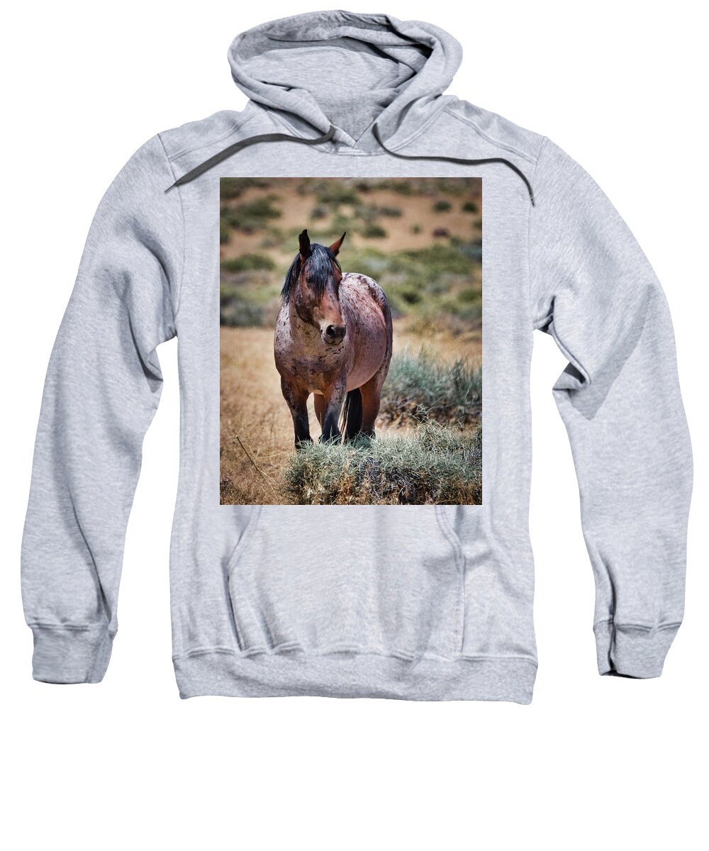Horse Sweatshirt featuring the photograph Red Roan Alerted by American Landscapes