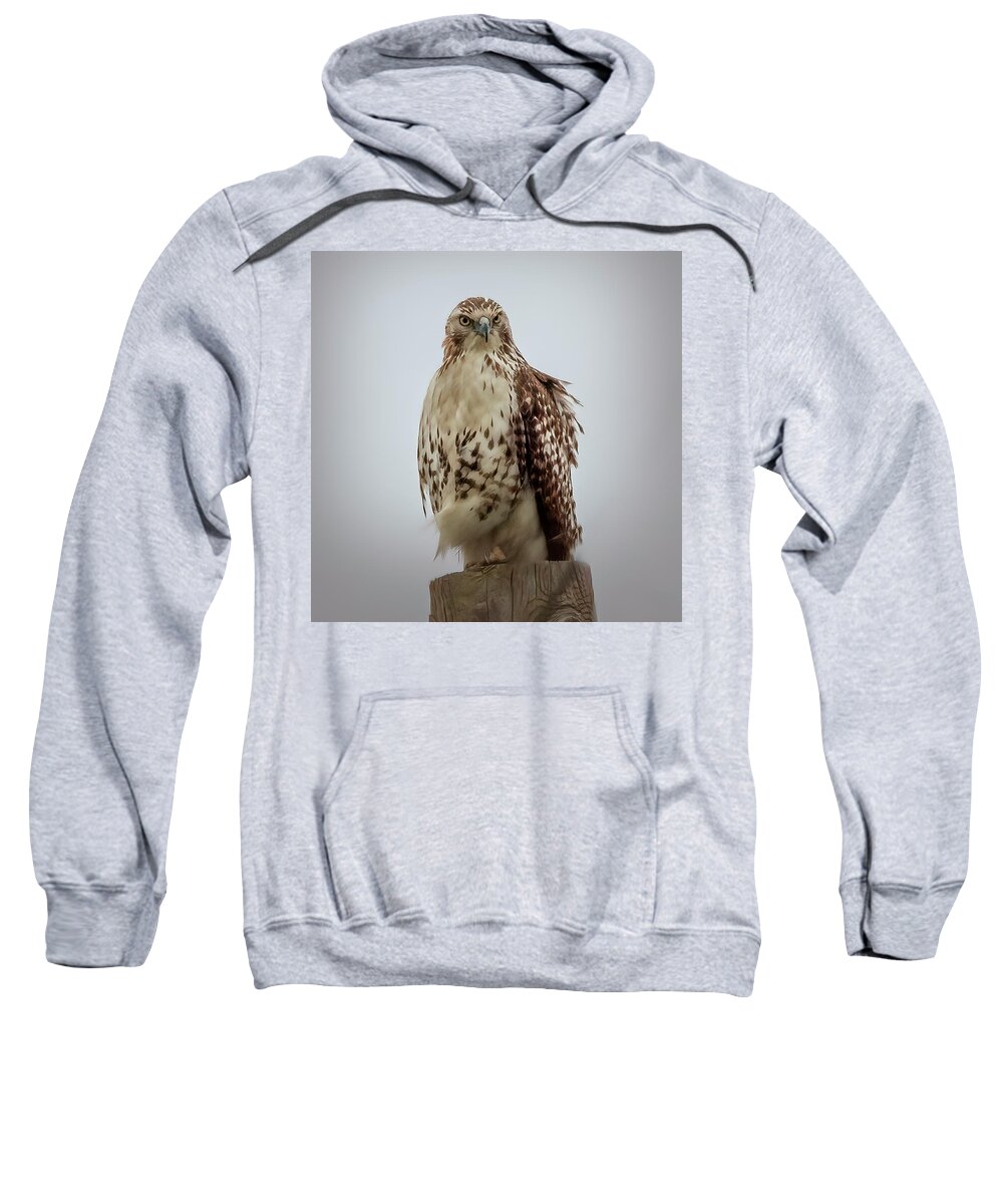 Nature Sweatshirt featuring the photograph Red Tailed Hawk by JASawyer Imaging