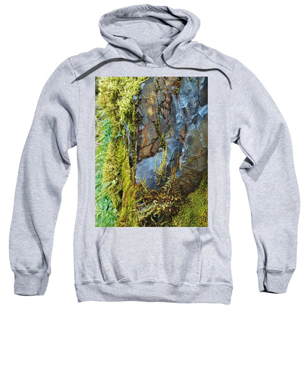 Nature Sweatshirt featuring the digital art Rock, Moss, and Ferns by Lisa Redfern