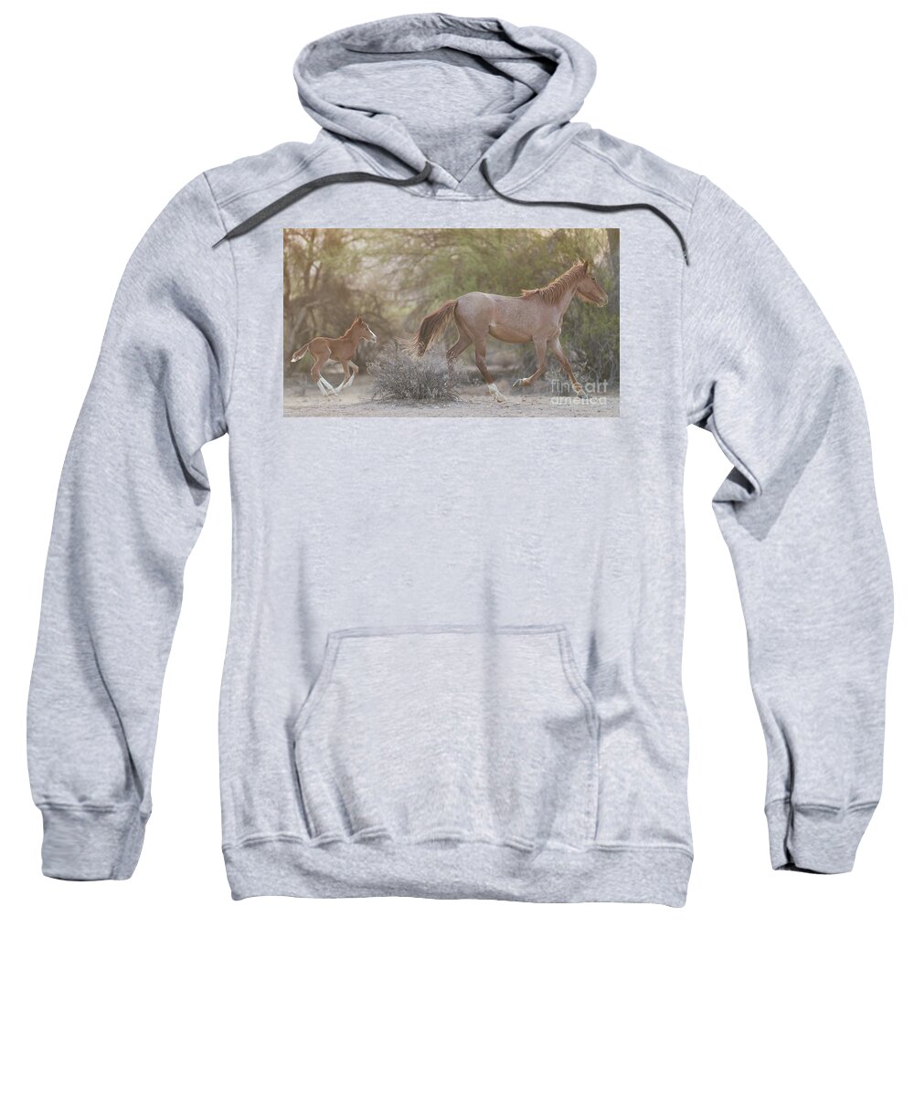 Foal Sweatshirt featuring the photograph Running by Shannon Hastings
