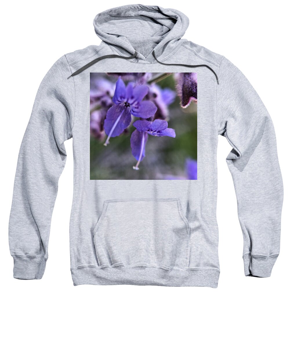 Summer Sweatshirt featuring the photograph Russian Sage Blossoms Closeup by Jori Reijonen