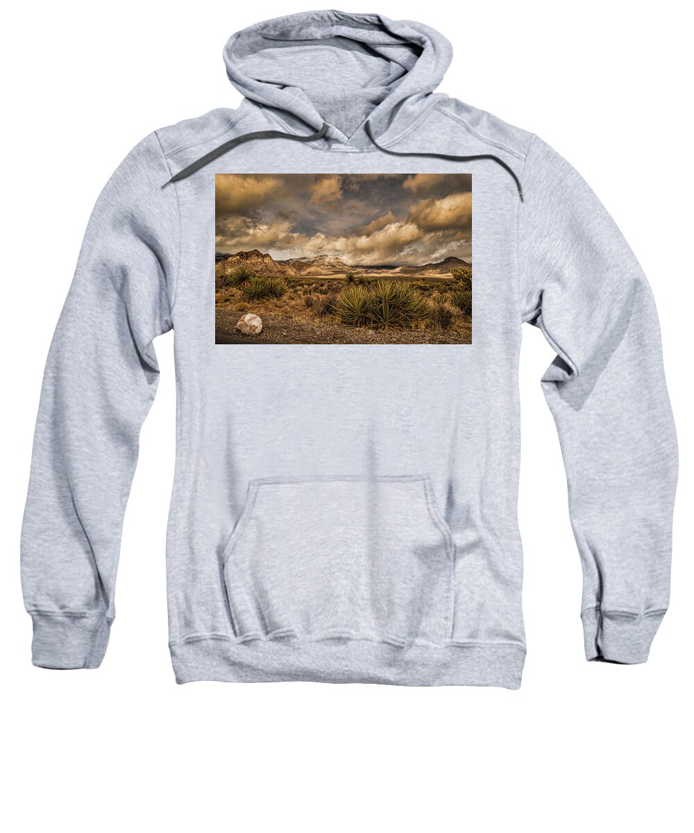 Saguaro National Park Sweatshirt featuring the photograph Saguaro National Park by Joe Granita