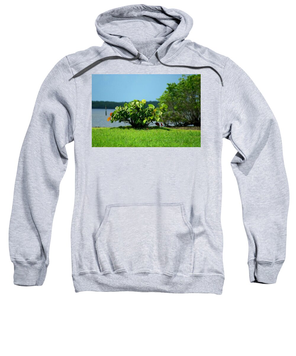 Florida Sweatshirt featuring the photograph Sea Grapes by Lindsey Floyd