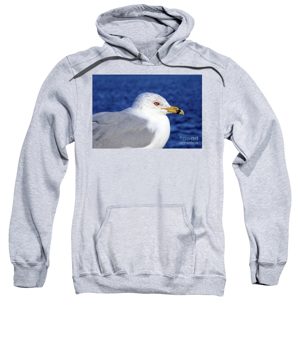Seagull Sweatshirt featuring the photograph Seagull in Paradise by Terri Brewster