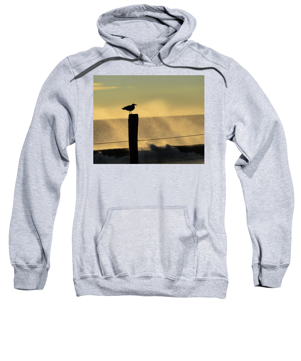 Silhouette Sweatshirt featuring the photograph Seagull Silhouette on a Piling by William Dickman