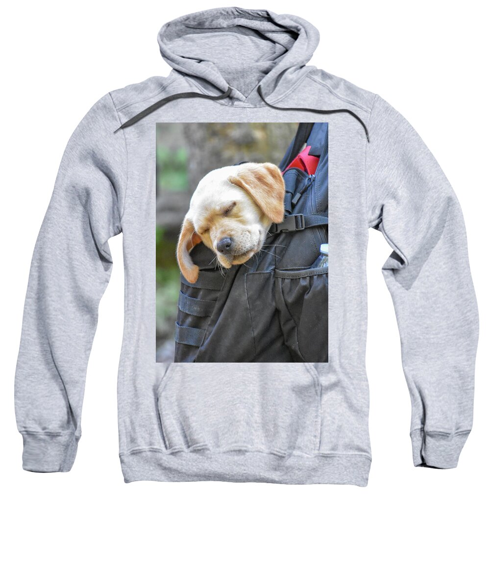 Puppy Sweatshirt featuring the photograph Sleepy Hiker Puppy by Michelle Wittensoldner