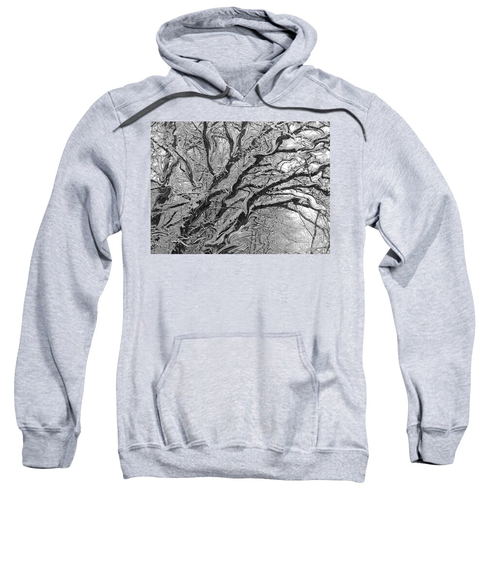 Tree Limbs Sweatshirt featuring the photograph Snow Melt by Rosanne Licciardi