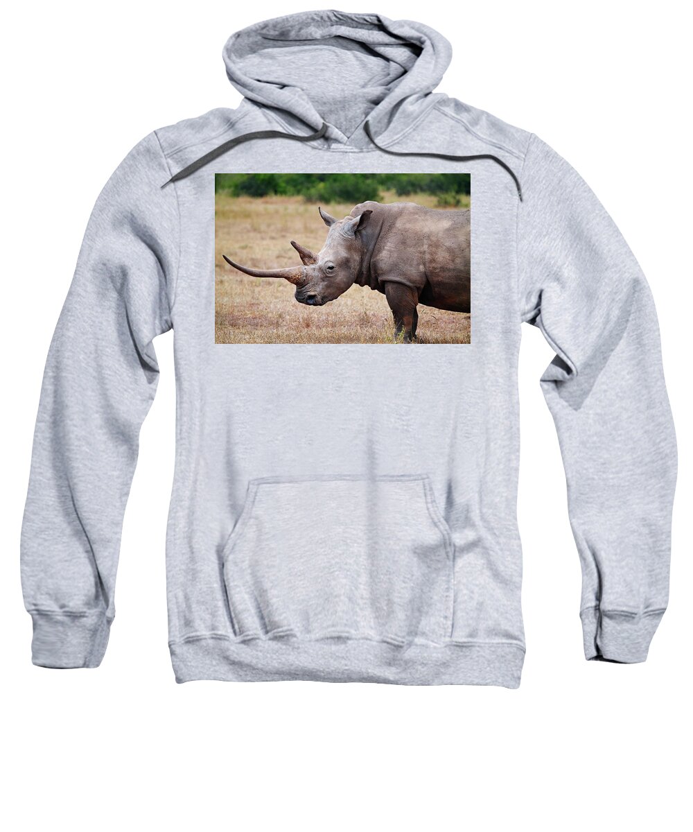 00587035 Sweatshirt featuring the photograph Solio White Rhino by Hiroya Minakuchi
