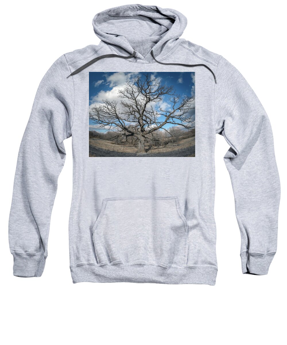 Tree Sweatshirt featuring the photograph Spider Tree by Phil S Addis