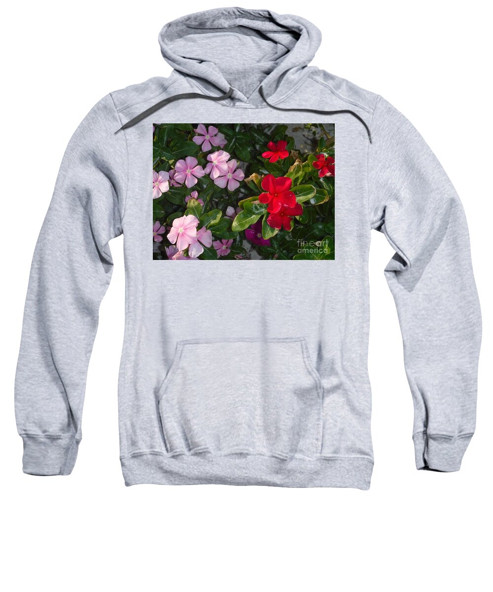 Spring Bloomin Sweatshirt featuring the photograph Spring Bloomin by Barbra Telfer