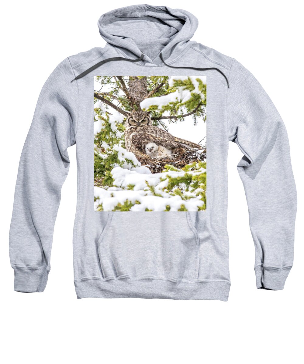 Airport Sweatshirt featuring the photograph Spring Caregiver by Kevin Dietrich