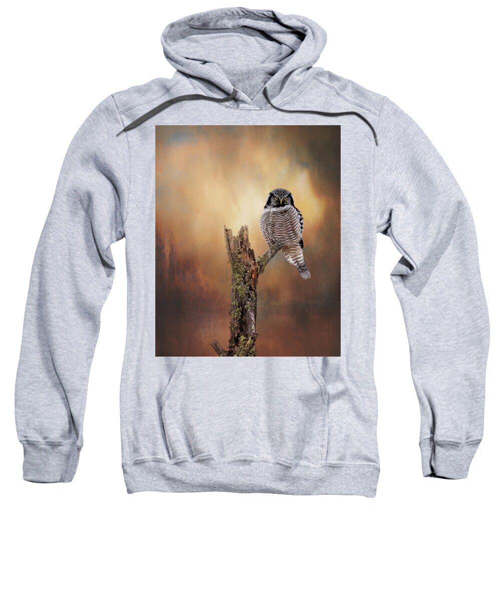 Northern Hawk Owl Sweatshirt featuring the photograph Stare Into My Eyes by Susan Rissi Tregoning