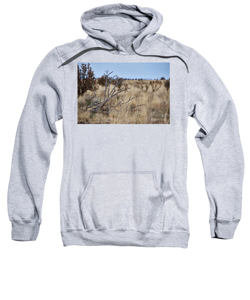 New Mexico Desert Sweatshirt featuring the photograph Still Life In The Mesa by Robert WK Clark