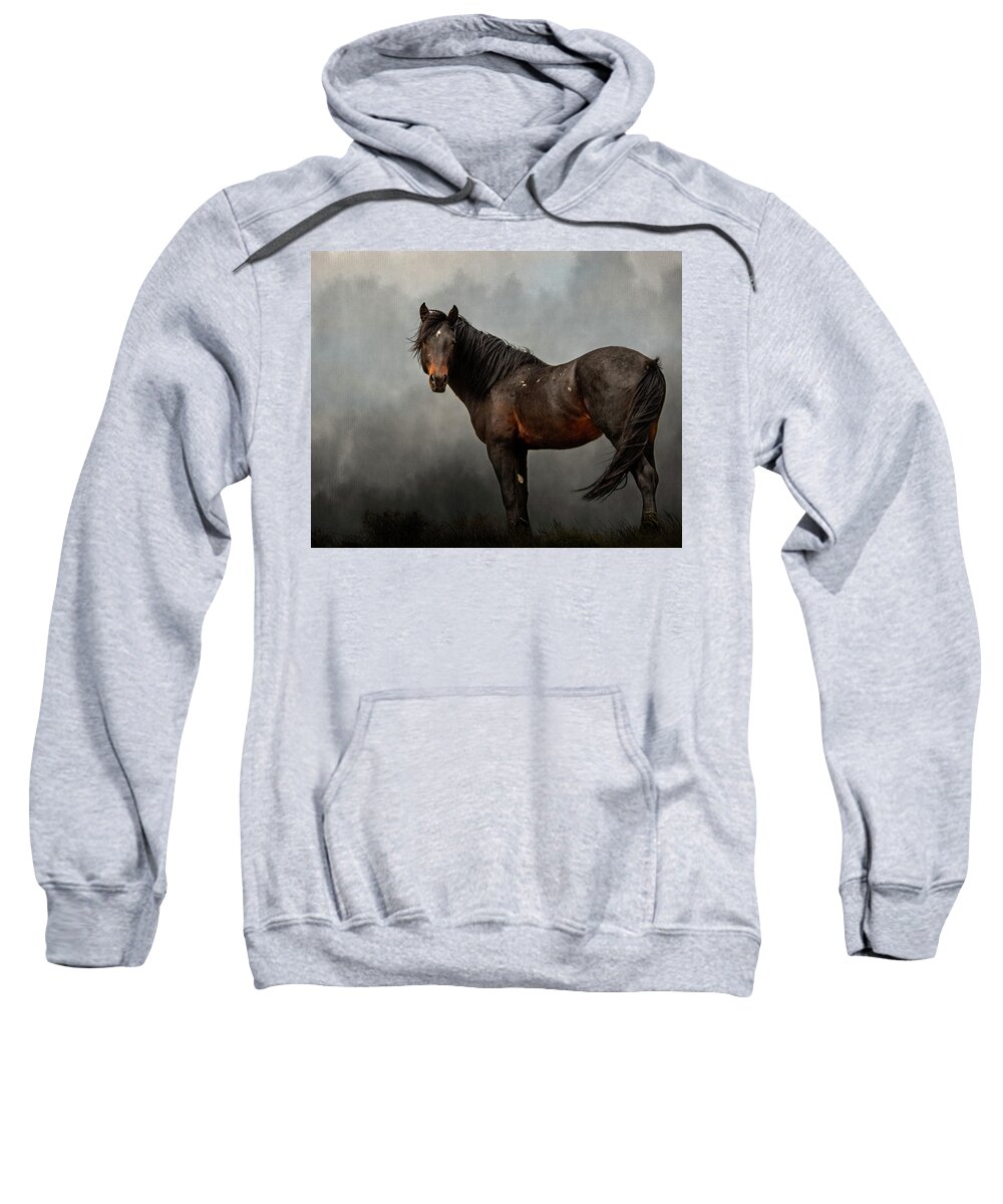 Horses Sweatshirt featuring the photograph Stormy by Mary Hone