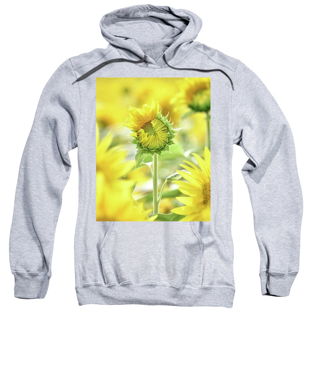 Sunflower Sweatshirt featuring the photograph Sumertime by Carolyn Mickulas