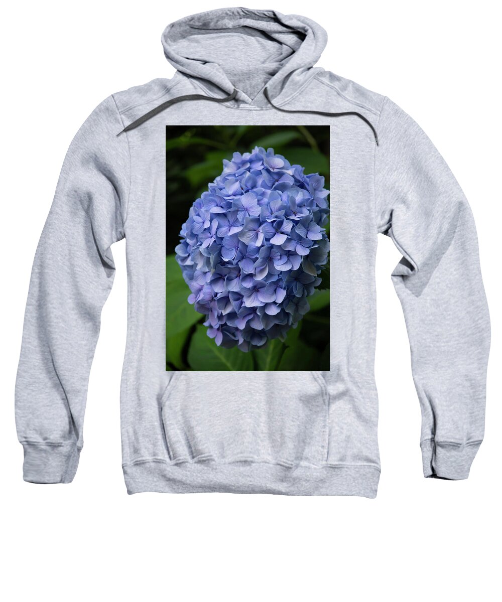 Hydrangea Sweatshirt featuring the photograph Summer Blues by Steven Clark