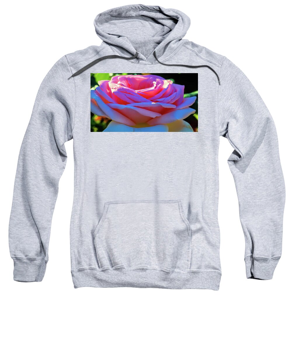 Blossom Sweatshirt featuring the photograph Sun on my Pink Roses by Cathy Anderson