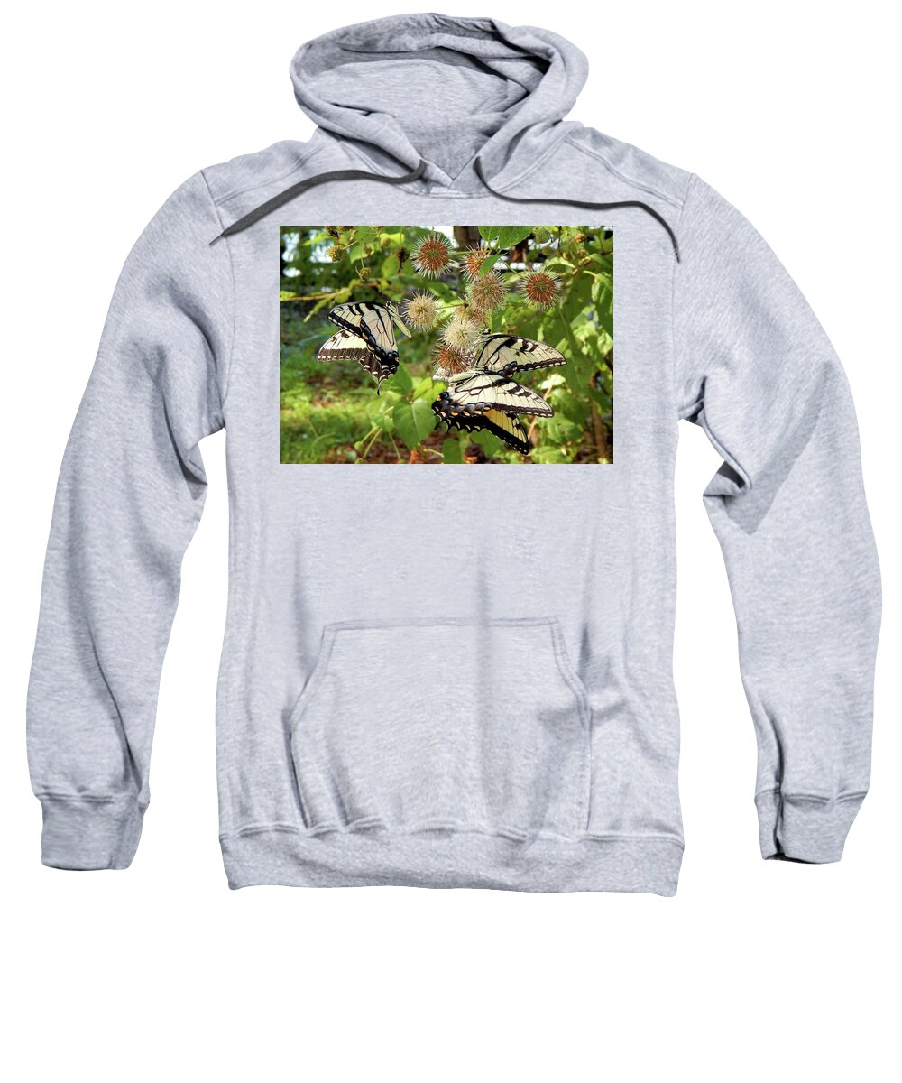 Butterfly Sweatshirt featuring the photograph Swallowtail Party by Karen Stansberry