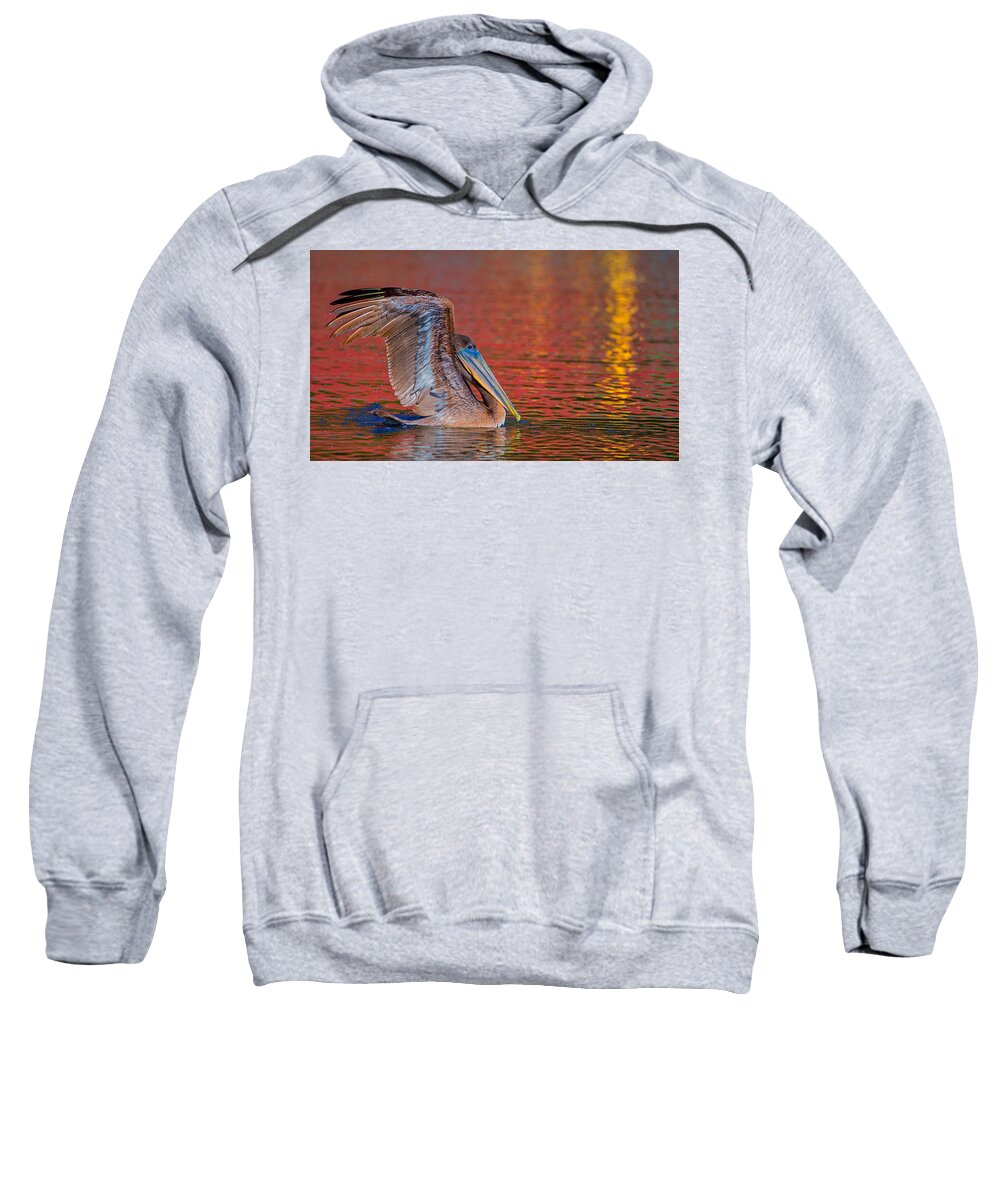 Louisiana Sweatshirt featuring the photograph Tchefuncte Pelican by Tom Gresham
