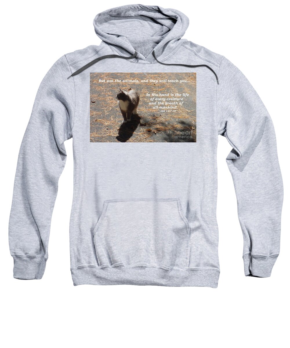 Nature Sweatshirt featuring the photograph the Cat knows by Christina Verdgeline