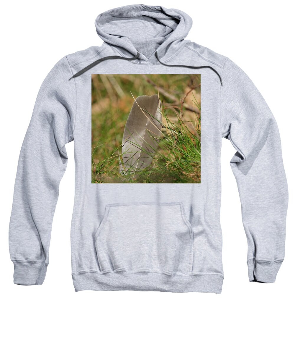 Sweden Sweatshirt featuring the pyrography The feather by Magnus Haellquist