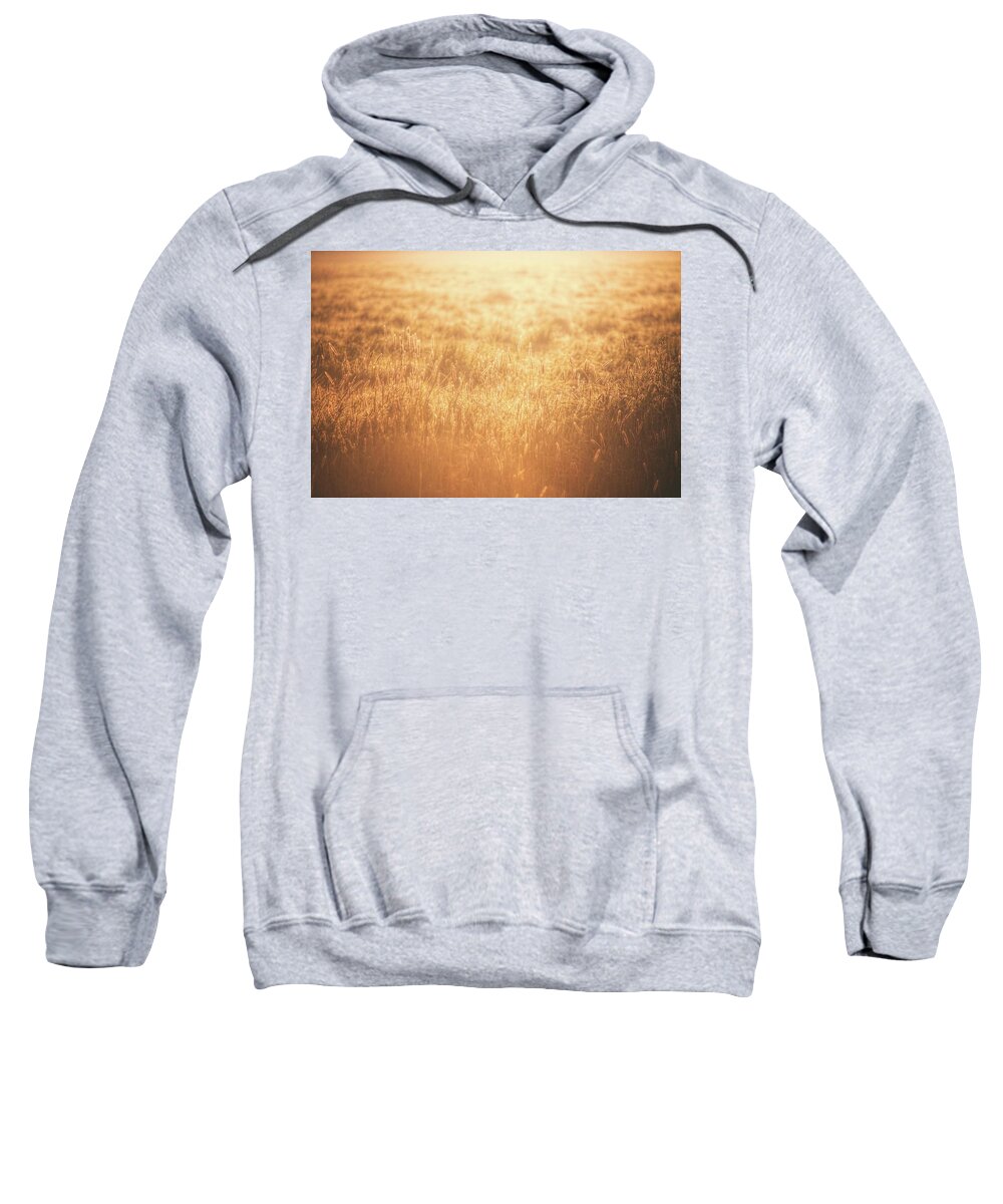 Land Sweatshirt featuring the photograph The Golden Morning by Jaroslav Buna