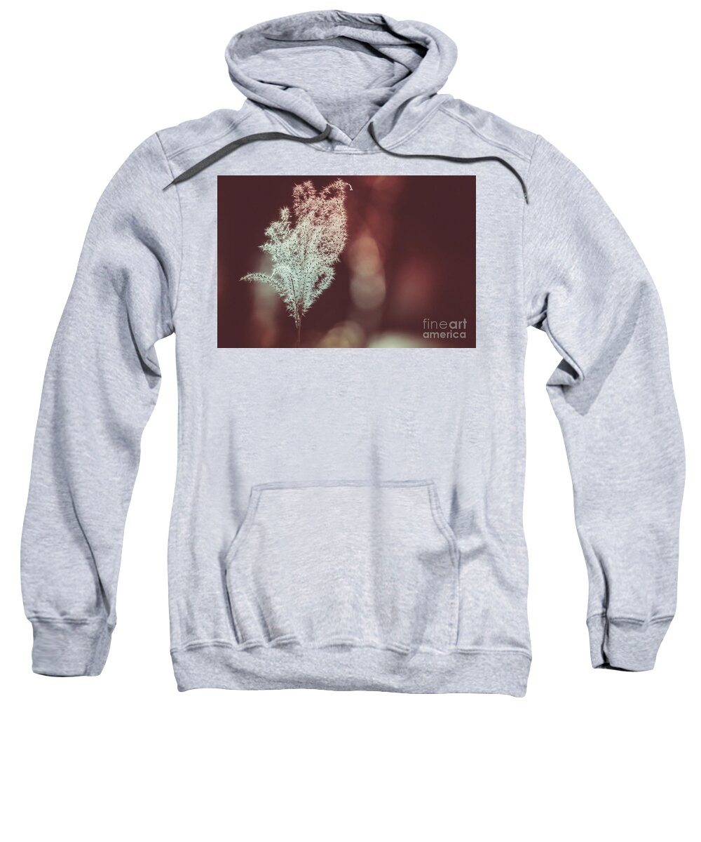 Color Sweatshirt featuring the photograph The Shine by Dheeraj Mutha