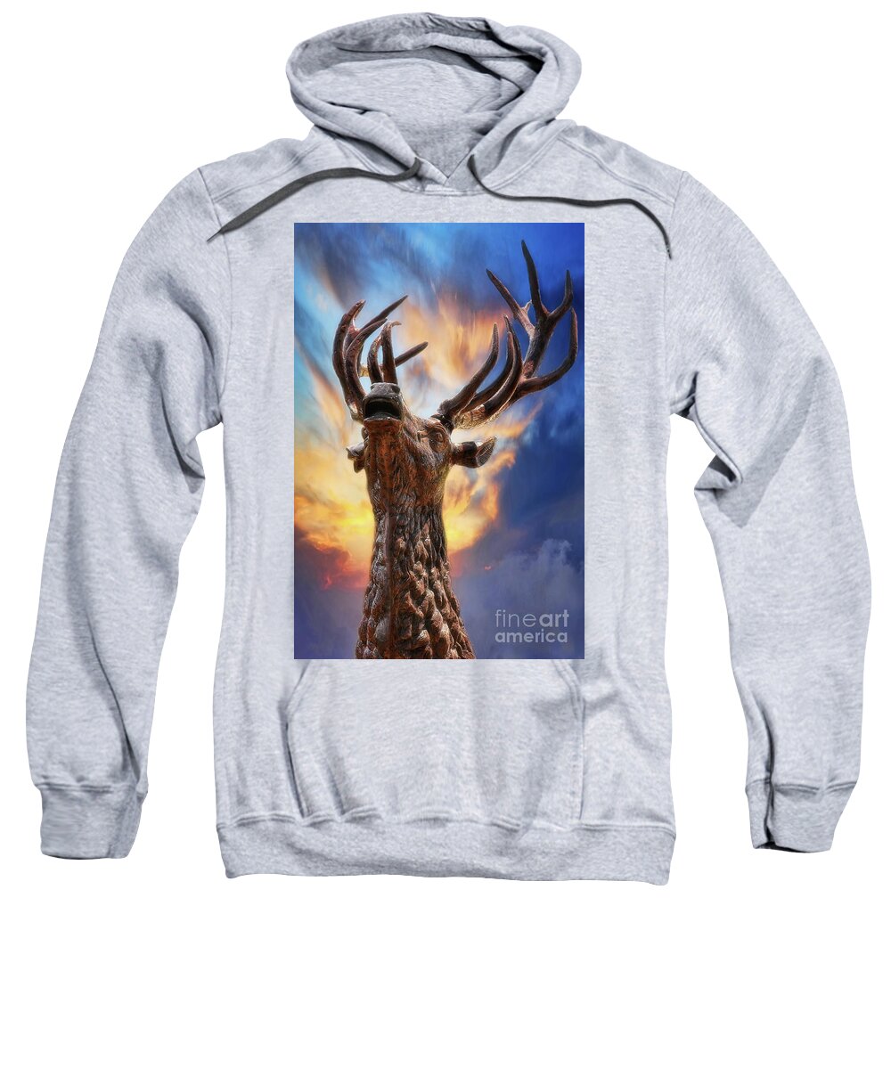 Wooden Stag Sweatshirt featuring the photograph The Stag by Joan Bertucci