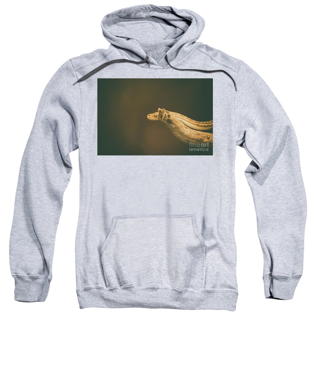 Wildlife Sweatshirt featuring the photograph The Stare by Dheeraj Mutha