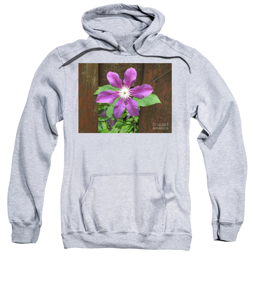 Flower Sweatshirt featuring the photograph Through the Garden Fence by World Reflections By Sharon
