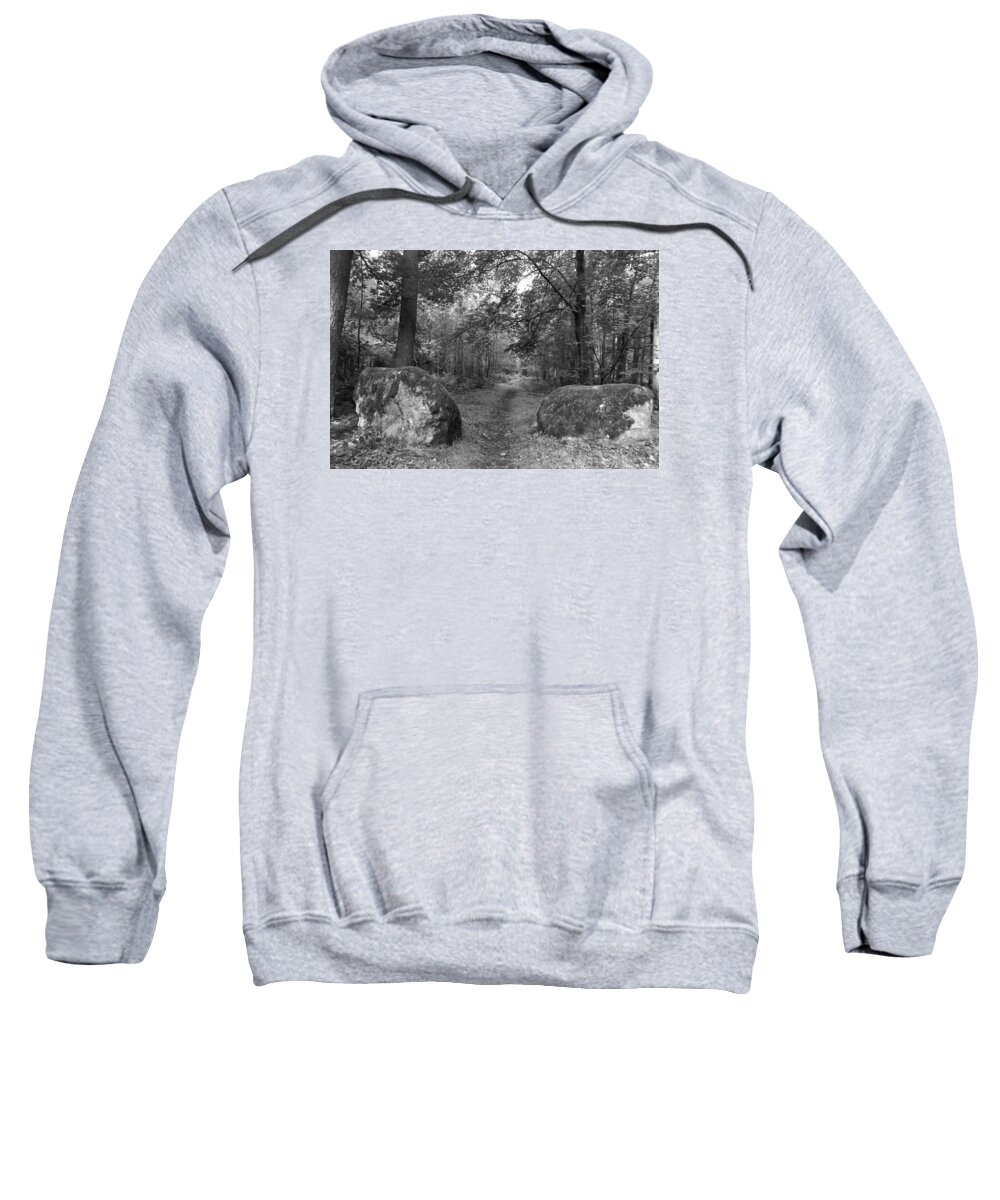 Forest Sweatshirt featuring the photograph Toward the forest by Justin Farrimond