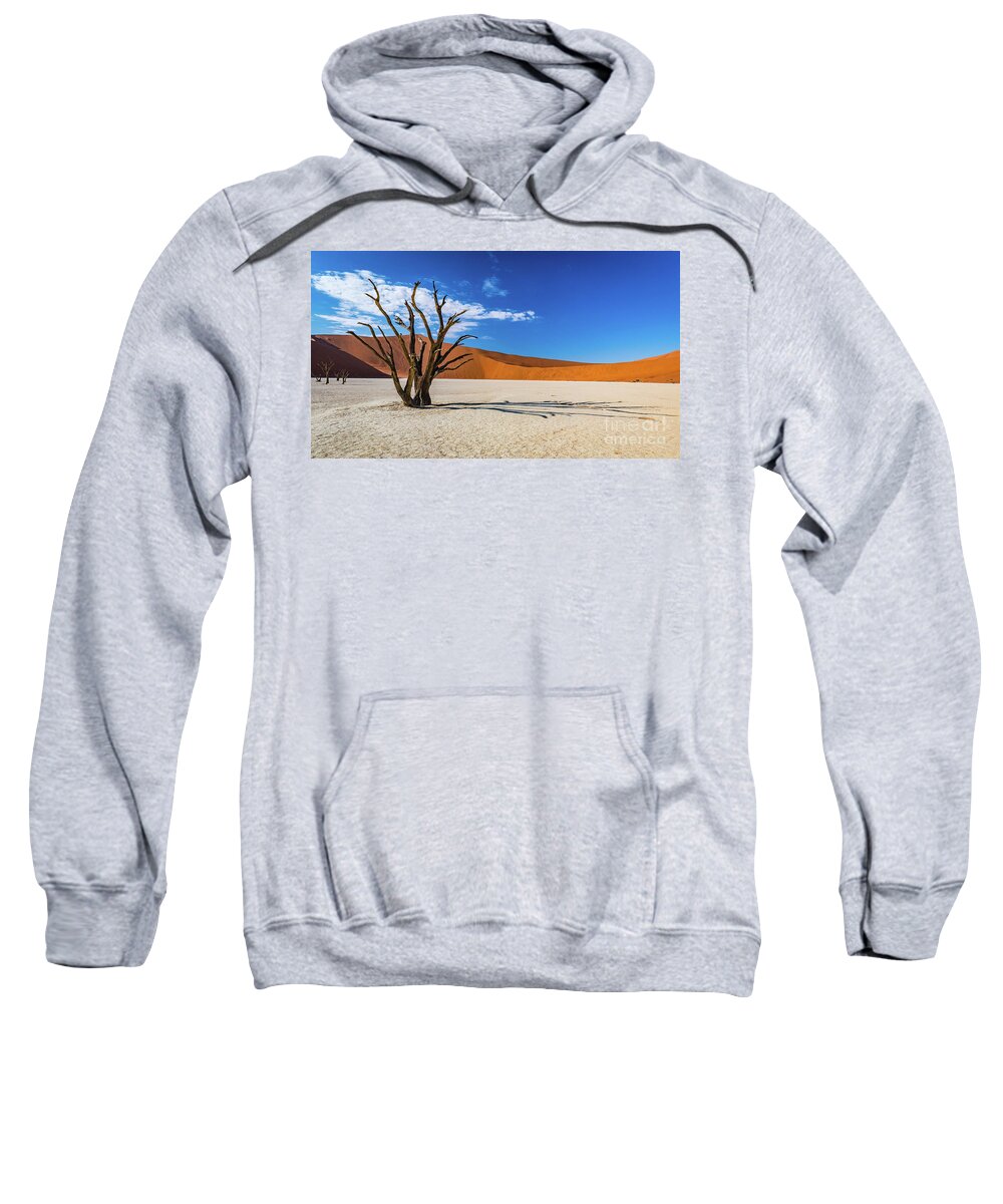 Deadvlei Sweatshirt featuring the photograph Tree and shadow in Deadvlei, Namibia by Lyl Dil Creations