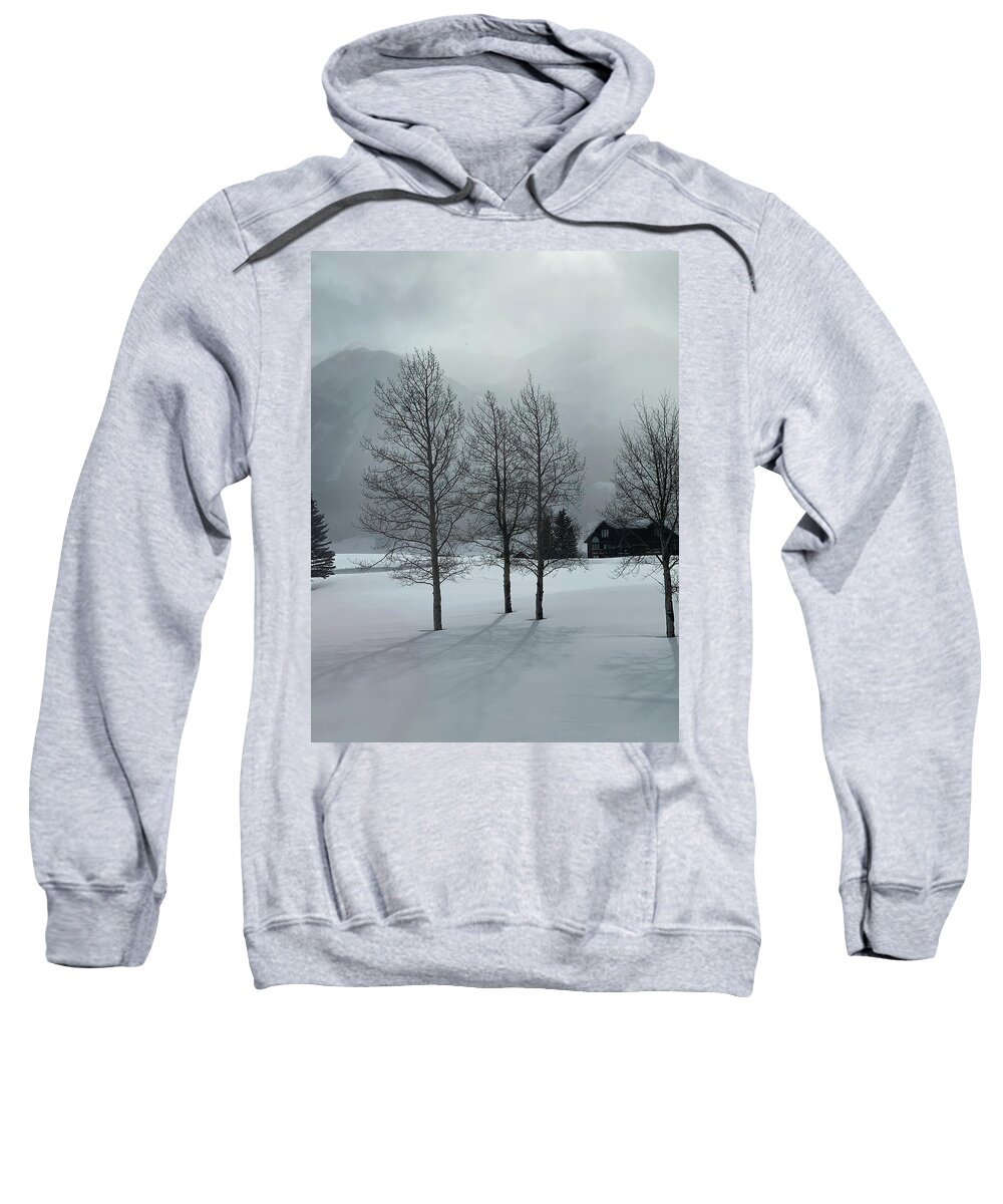 Trees Sweatshirt featuring the photograph Trees in snow by Colette Lee