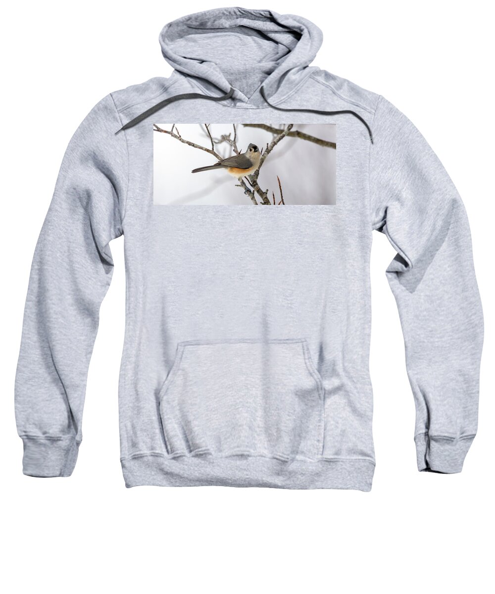 Titmouse Sweatshirt featuring the photograph Tufted Titmouse Winter Tranquility by Betsy Knapp